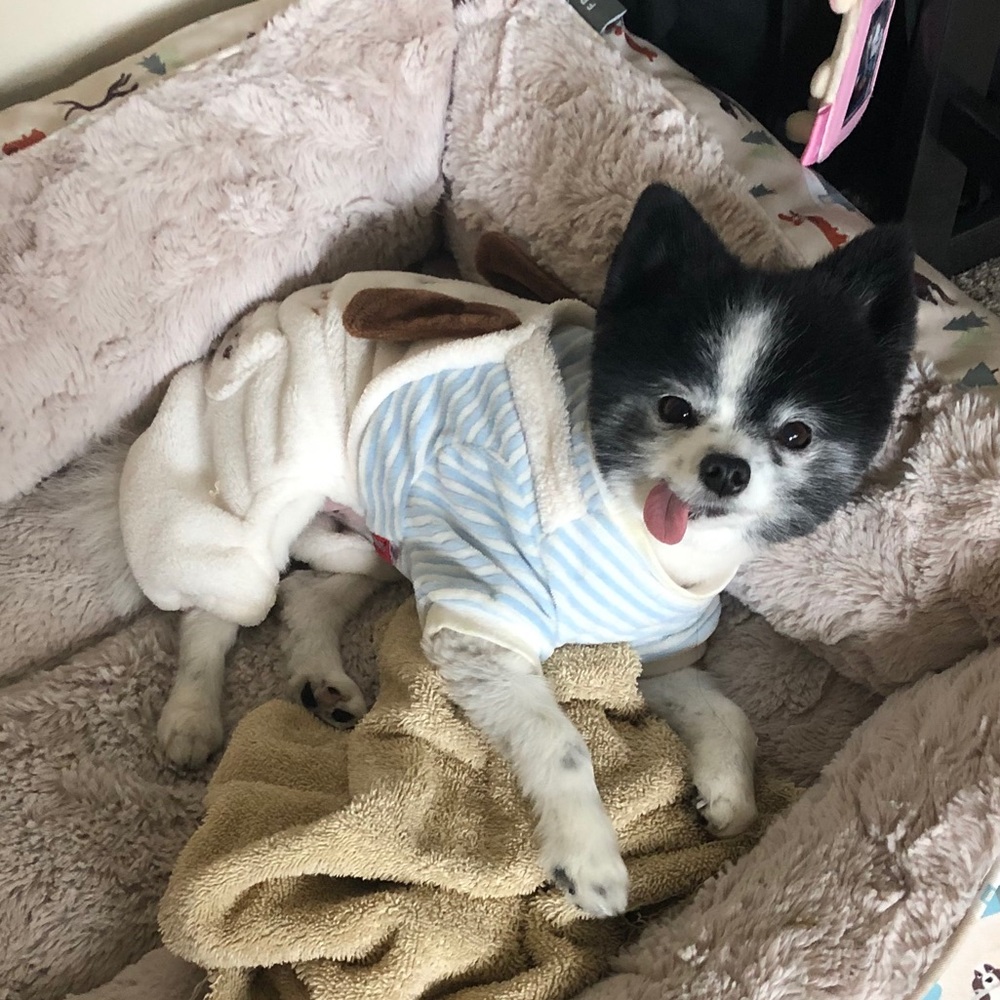 Meet your Posher, Minerva